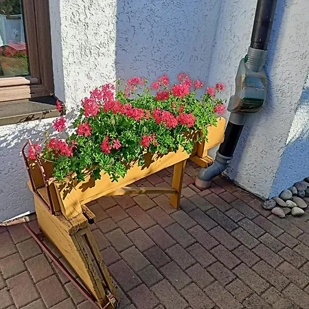 Dreilaendereck Guest house Birx