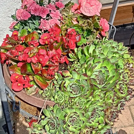 德瑞兰德瑞克旅馆 招待所