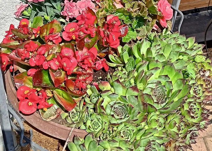 Dreilaendereck Gasthuis